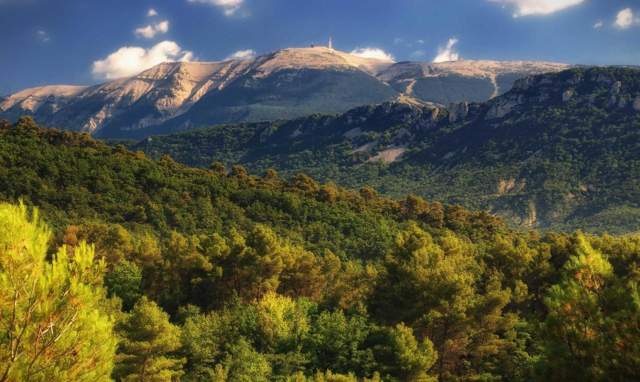 Le Nesk Ventoux - Hotel Sault-de-Vaucluse Exteriér fotografie